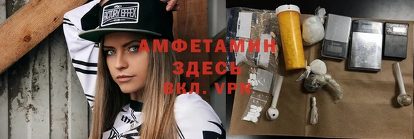 стаф Алзамай
