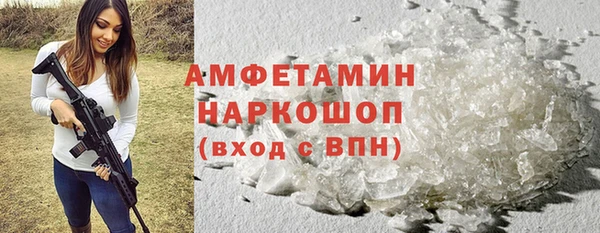 стаф Алзамай